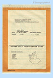 American Weekly 3843: 1950s Misses Apron Sz Medium Vintage Sewing Pattern Uncut