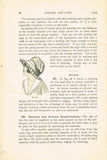 1920s Brooks Picken Woman's Institute Sewing Book 405 Aprons and Caps 1922 Ed