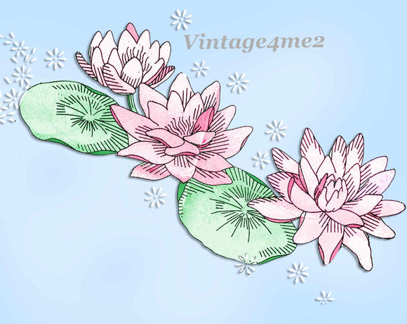 1940s Laura Wheeler Embroidery Transfer 608 Uncut Waterlily Pillowcase & Sheet Motifs