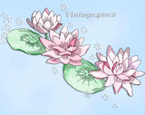 1940s Laura Wheeler Embroidery Transfer 608 Uncut Waterlily Pillowcase & Sheet Motifs