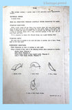 1940s Vintage Simplicity Transfer Pattern 7145 Small Uncut Baby Animal Motifs