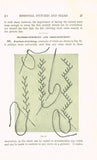 1920s Brooks Picken Woman's Institute Sewing Book 1 A-3 Essential Seams Stitches