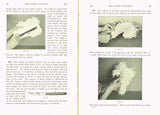 1920s Mary Brooks Picken Woman's Institute Book 106 Millinery Recipes 1923ed
