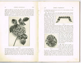 1920s Mary Brooks Picken Woman's Institute Book 107B Millinery Ribbon Part 2