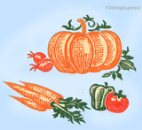 1950s Fall Harvest Tea Towel Vogart Textilprint 419 Uncut Color Hot Iron Transfer