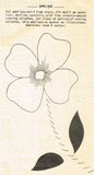 Mail Order 1979: 1940s Misses Dress w Flower Pocket 36 B Vintage Sewing Pattern