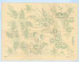 1940s Vintage Mail Order Embroidery Transfer 7396 Uncut Lilac Pillowcase Motifs