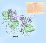 1950s Aunt Marthas Embroidery Transfer 3698 Uncut Floral Pilllowcase Motifs