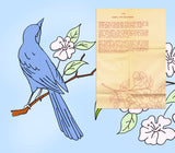 1950s Aunt Martha's Embroidery Transfer 3728 Uncut Bird & Flower Pillowcase Motifs