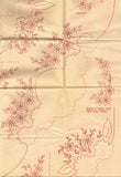 1950s Aunt Marthas Embroidery Transfer 3066 Uncut Pillowcases w Crochet Ends