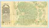 1940s Laura Wheeler Embroidery Transfer 1759 Uncut Large Peacock Bedspread Motif