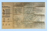 1940s Vintage Laura Wheeler Embroidery Transfer 678 Uncut Granny DOW Tea Towel
