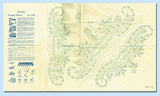 1940s Vintage Alice Brooks Embroidery Transfer 7349 Uncut Garden Gal Pillowcases - Vintage4me2