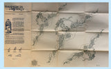 1940s Vintage American Weekly Embroidery Transfer 3138 Uncut Garden Girl Pcases