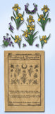 1920s Vintage Butterick Embroidery Transfer 16037 Violets & Iris Flower Motifs