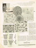 1920s Original Vintage Butterick Delineator Patterns & Womens Magazine May 1923 - Vintage4me2