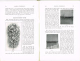 1920s Mary Brooks Picken Woman's Institute Book 107A Ribbon Trimmings Part 1