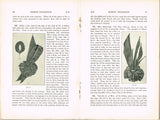 1920s Mary Brooks Picken Woman's Institute Book 107D Ribbon Trimmings Part 4
