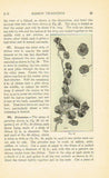 1920s Mary Brooks Picken Woman's Institute Book 107D Ribbon Trimmings Part 4