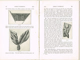 1920s Mary Brooks Picken Woman's Institute Book 107E Ribbon Trimmings Part 5