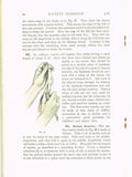 1910s Mary Brooks Picken Woman's Institute Millinery Book 116 Novelty Trimmings
