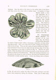 1910s Mary Brooks Picken Woman's Institute Millinery Book 116 Novelty Trimmings