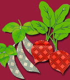1940s 1950s Wheeler Tea Towels Uncut Veggies Transfers Darling Original 2984 - Vintage4me2