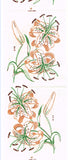 1950s Four Color Vintage Vogart Textilprint 46 Tigerlily Hot Iron Transfer ORIG