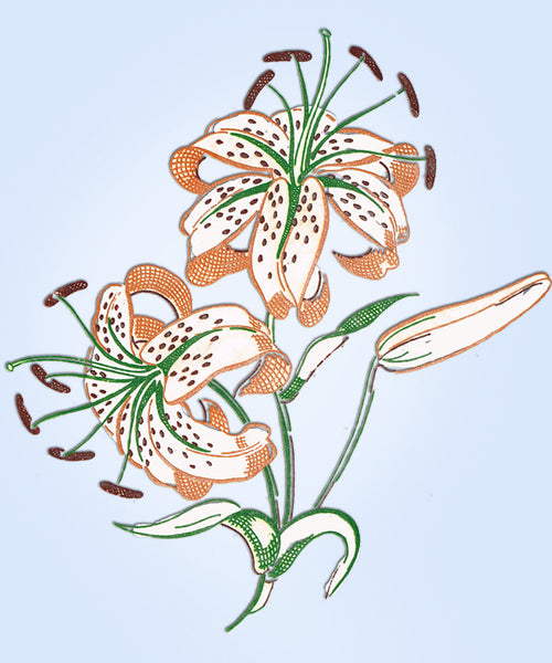 1950s Four Color Vintage Vogart Textilprint 46 Tigerlily Hot Iron Transfer ORIG